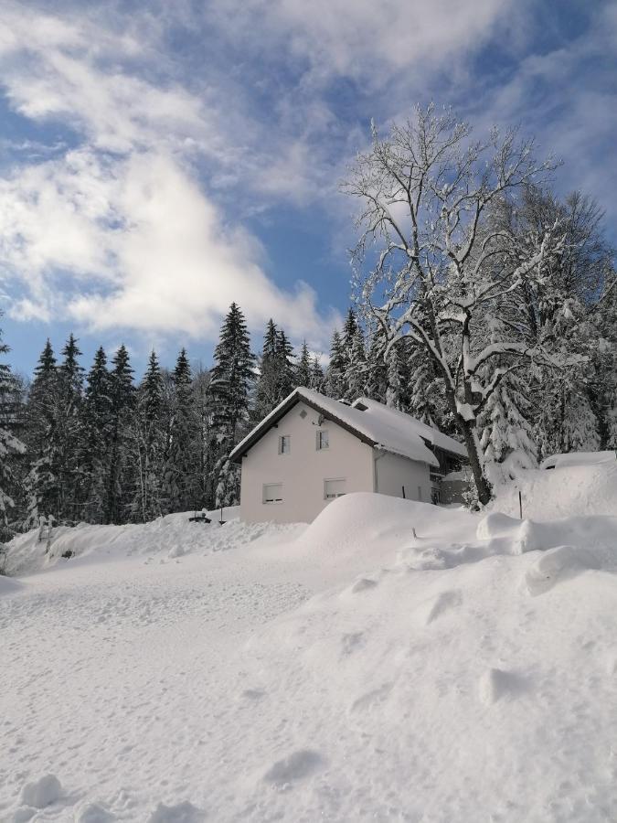 Ferienhaus Plöckenstein Schwarzenberg am Bohmerwald Exterior foto