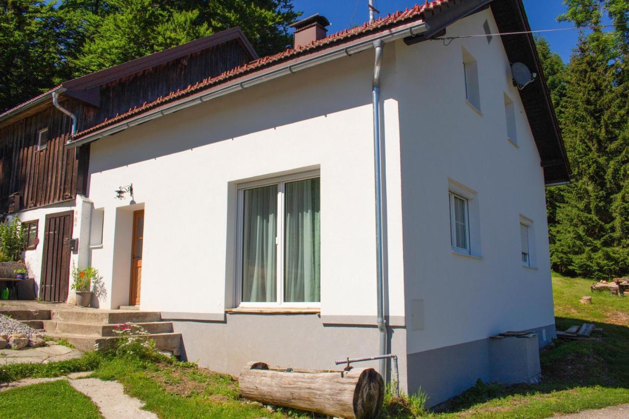 Ferienhaus Plöckenstein Schwarzenberg am Bohmerwald Exterior foto