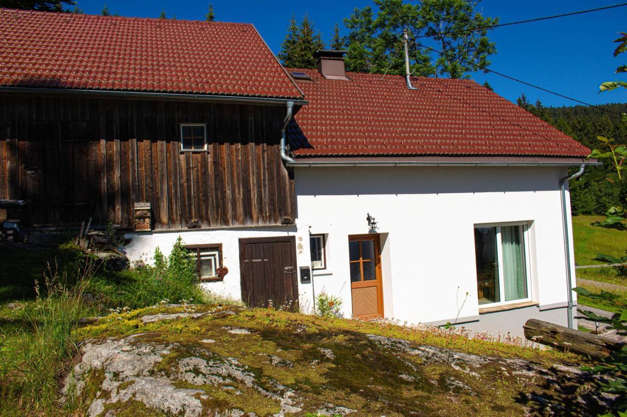Ferienhaus Plöckenstein Schwarzenberg am Bohmerwald Exterior foto
