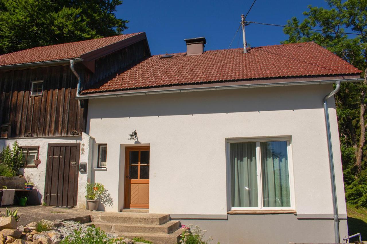 Ferienhaus Plöckenstein Schwarzenberg am Bohmerwald Exterior foto