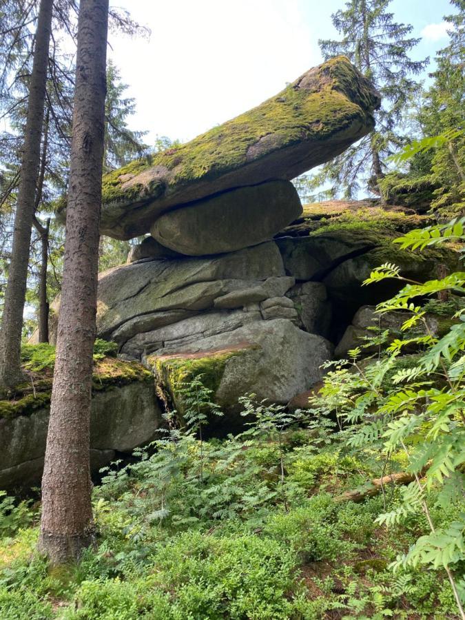 Ferienhaus Plöckenstein Schwarzenberg am Bohmerwald Exterior foto